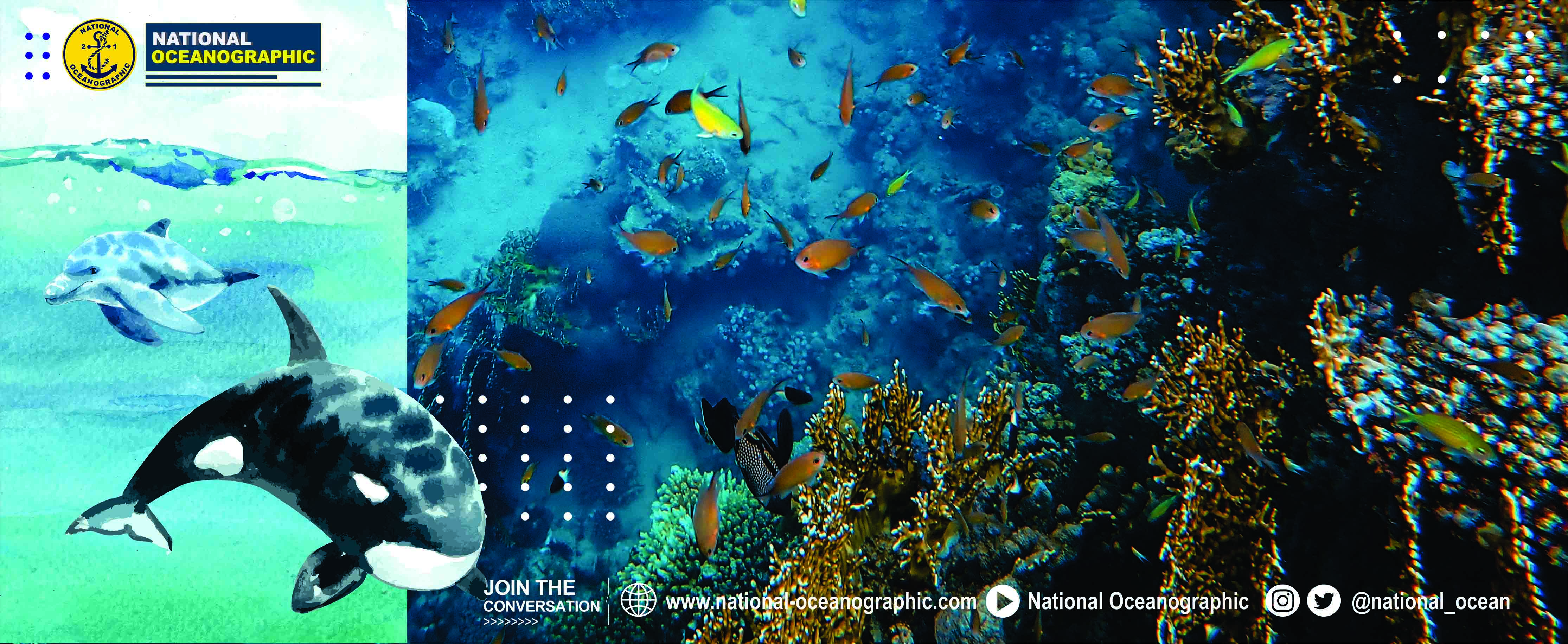 Not support to load image